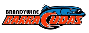 Brandywine logo-removebg